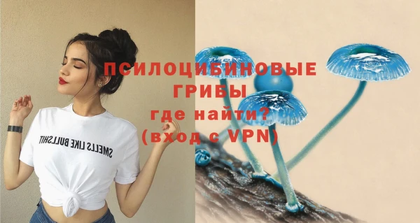 гашик Покров