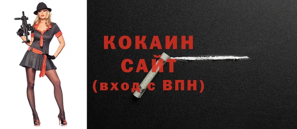 гашик Покров