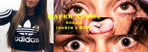 индика Покачи