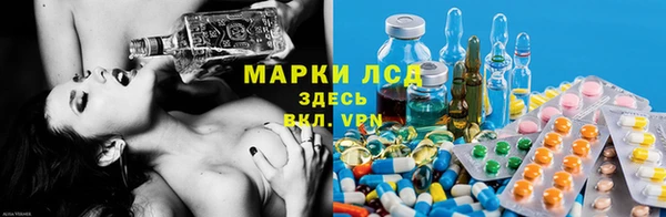 спиды Покровск