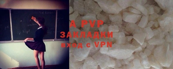 индика Покачи
