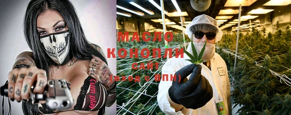 индика Покачи
