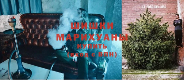 индика Покачи
