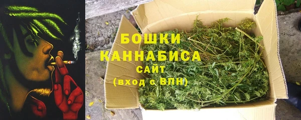 индика Покачи