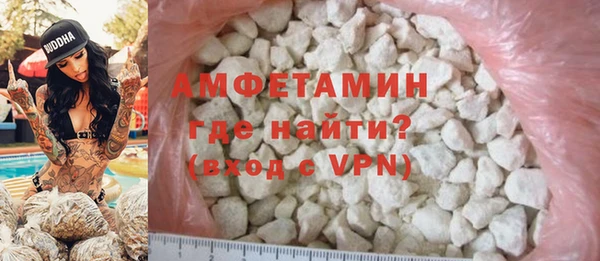 индика Покачи