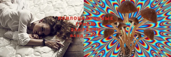 гашик Покров
