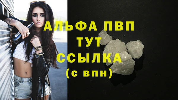 гашик Покров