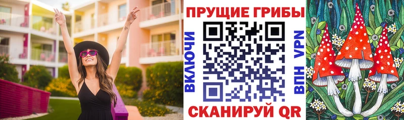 сайты даркнета наркотические препараты  Цимлянск  Галлюциногенные грибы прущие грибы 