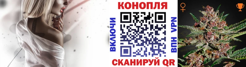 omg как войти  как найти   Цимлянск  Каннабис тримм 